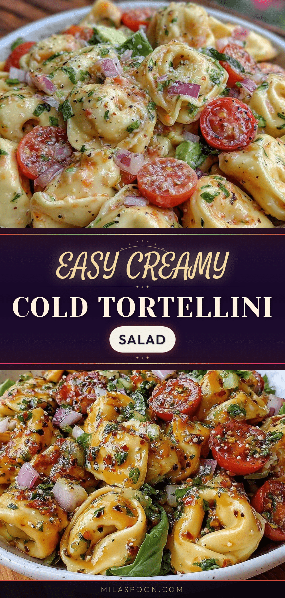 creamy cold tortellini pasta salad recipe