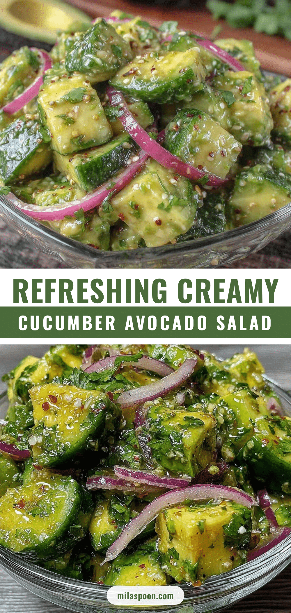 fresh cucumber avocado salad recipe