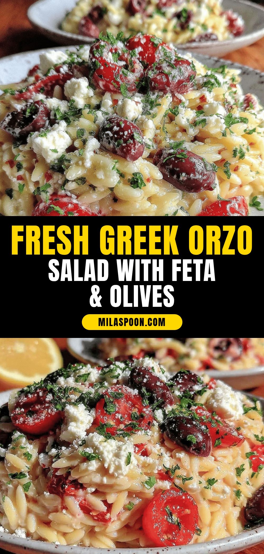 fresh greek orzo pasta salad recipe