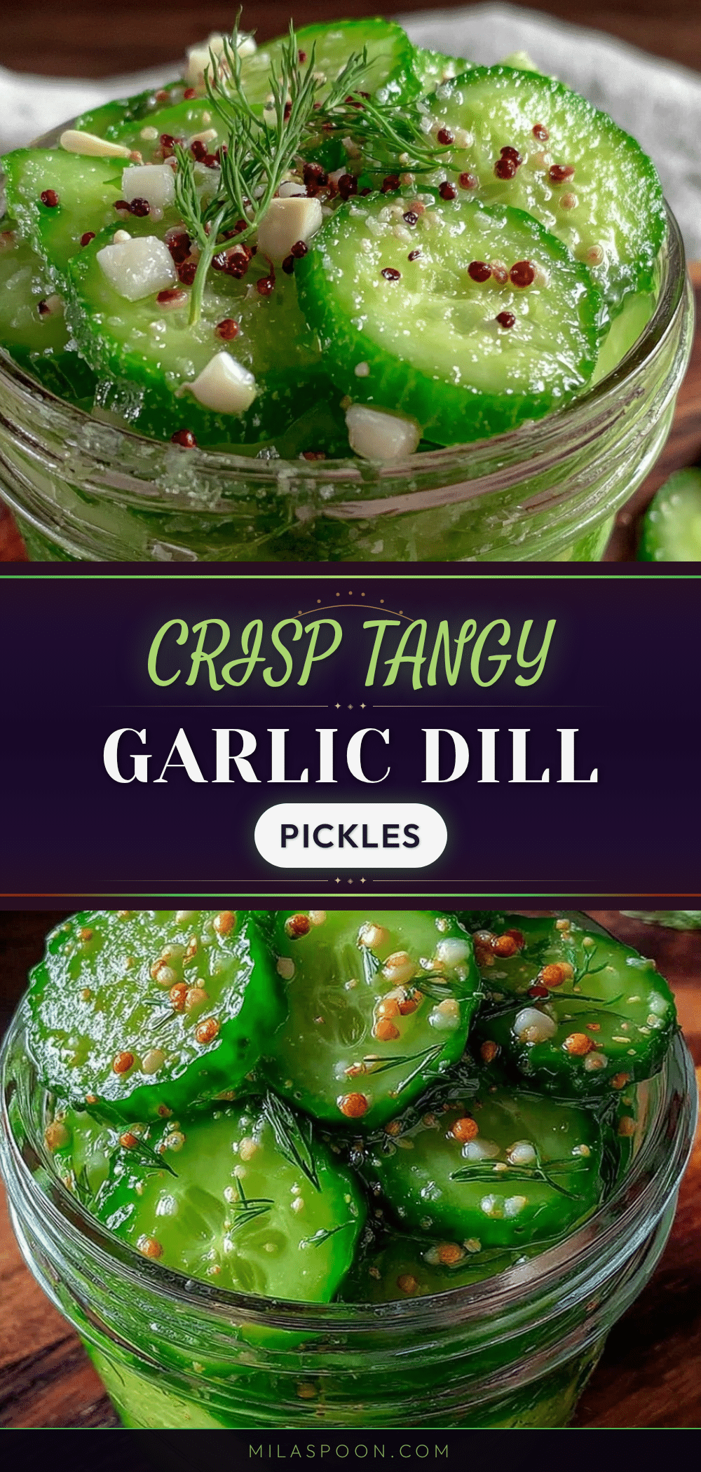 crisp garlic dill refrigerator pickles recipe