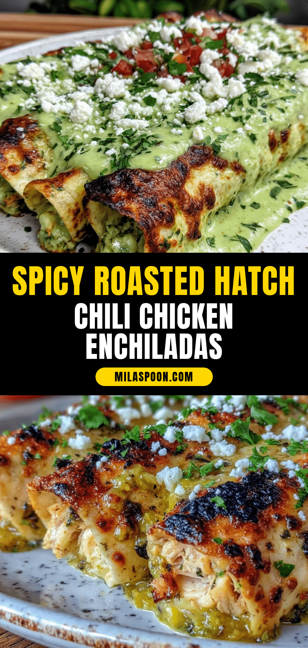 Roasted Hatch Chili Chicken Enchiladas recipe