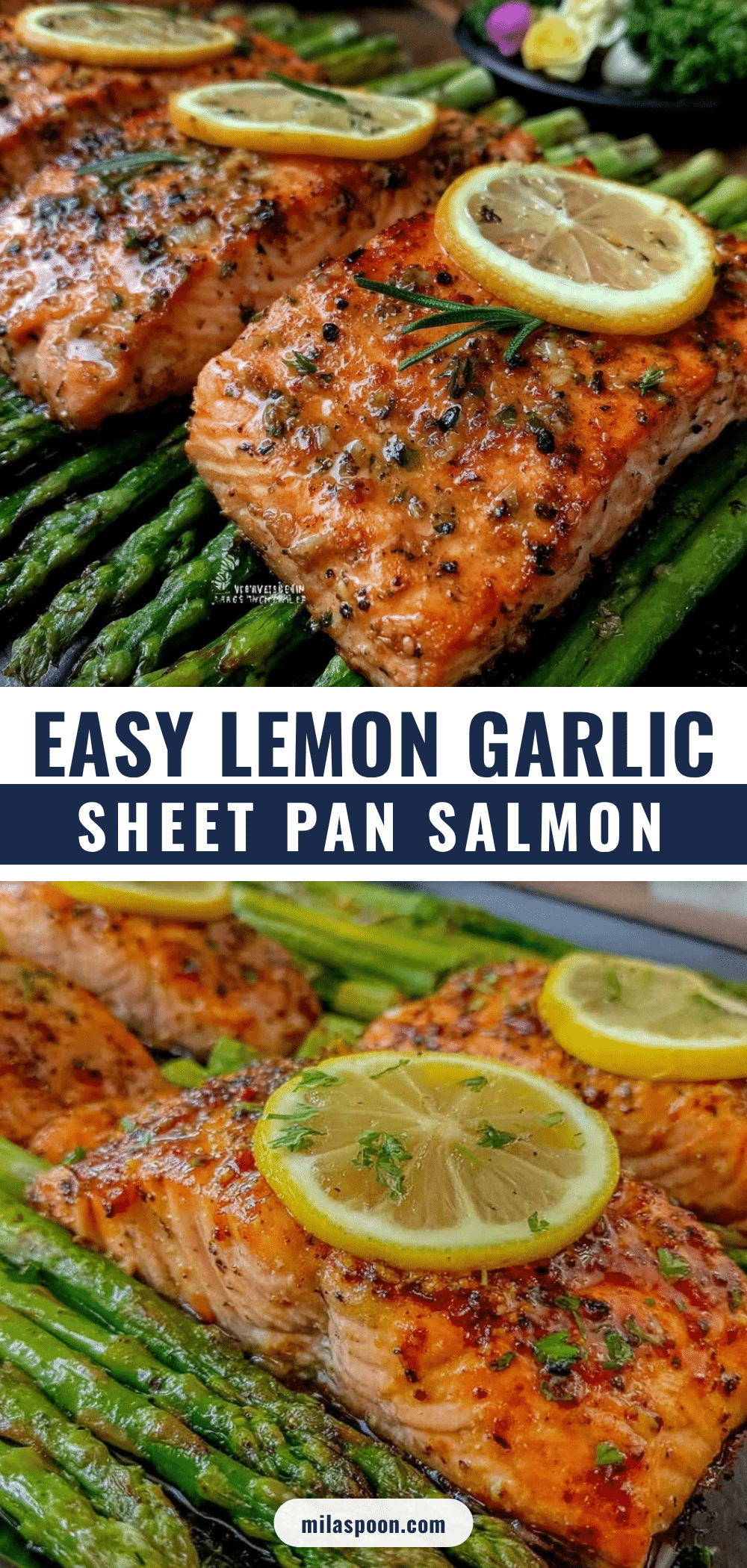 sheet pan salmon recipe recipe