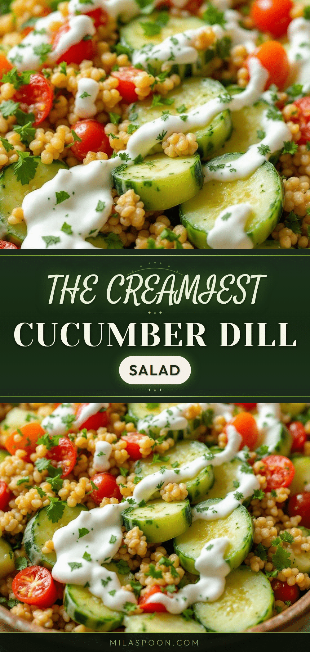 creamy cucumber salad recipe