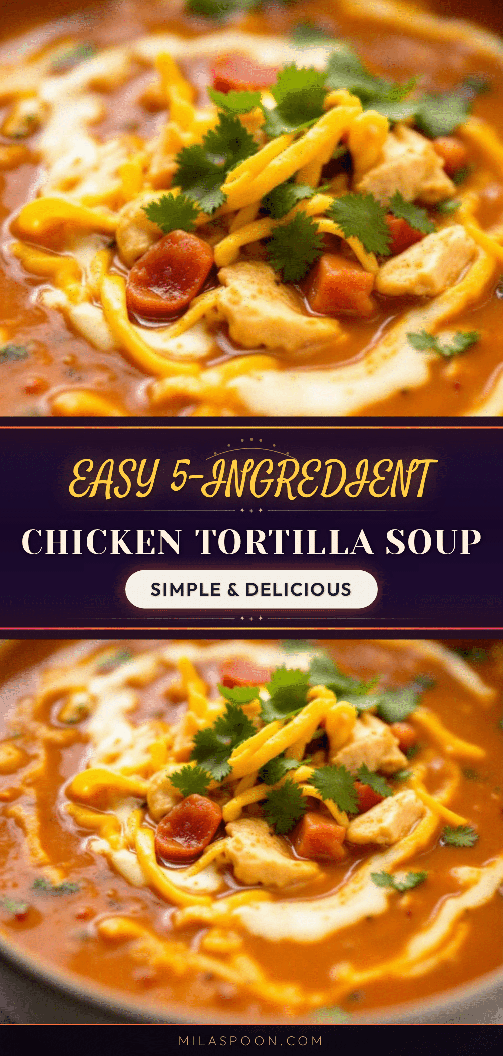 easy 5-ingredient chicken tortilla soup recipe