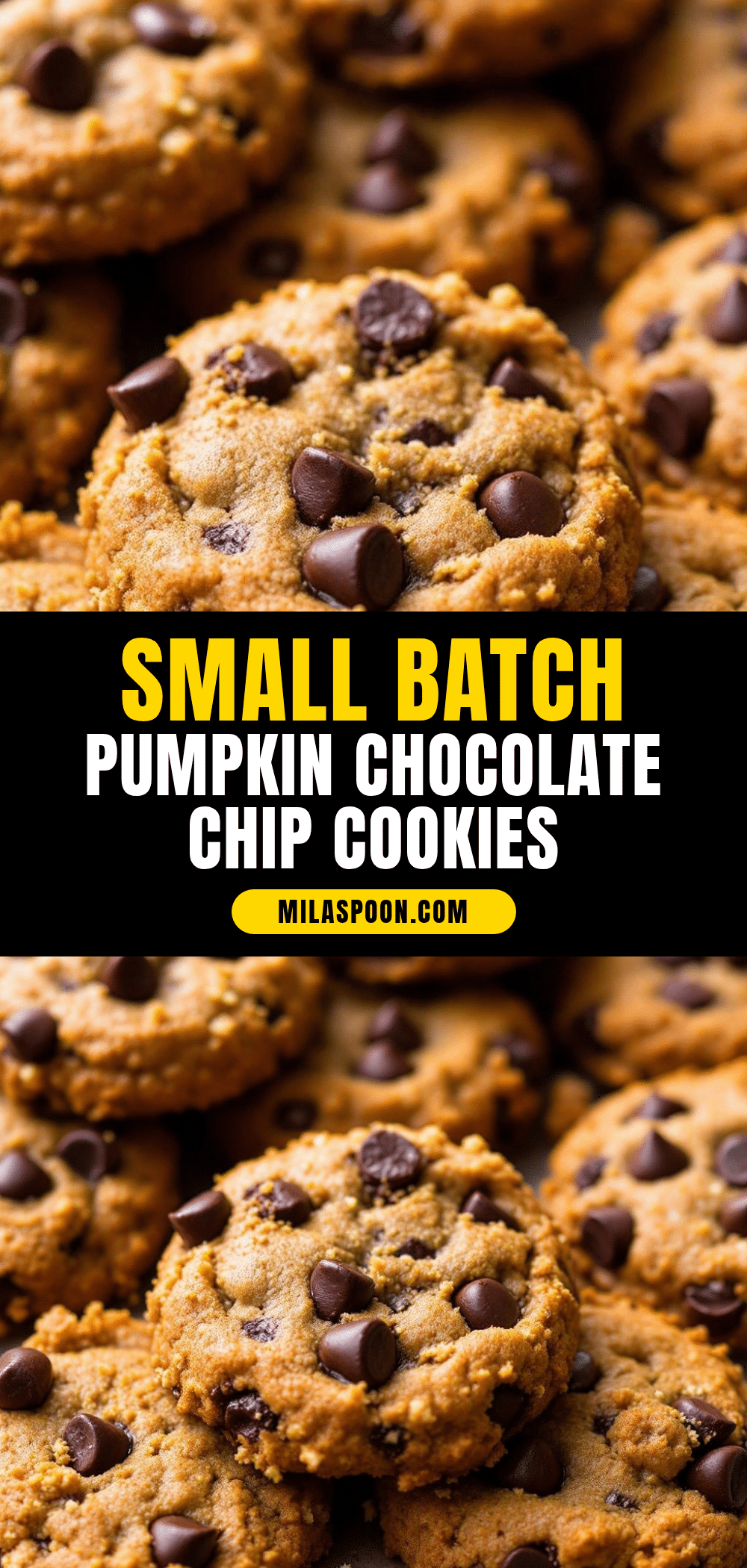 easy small-batch pumpkin chocolate chip cookies recipe