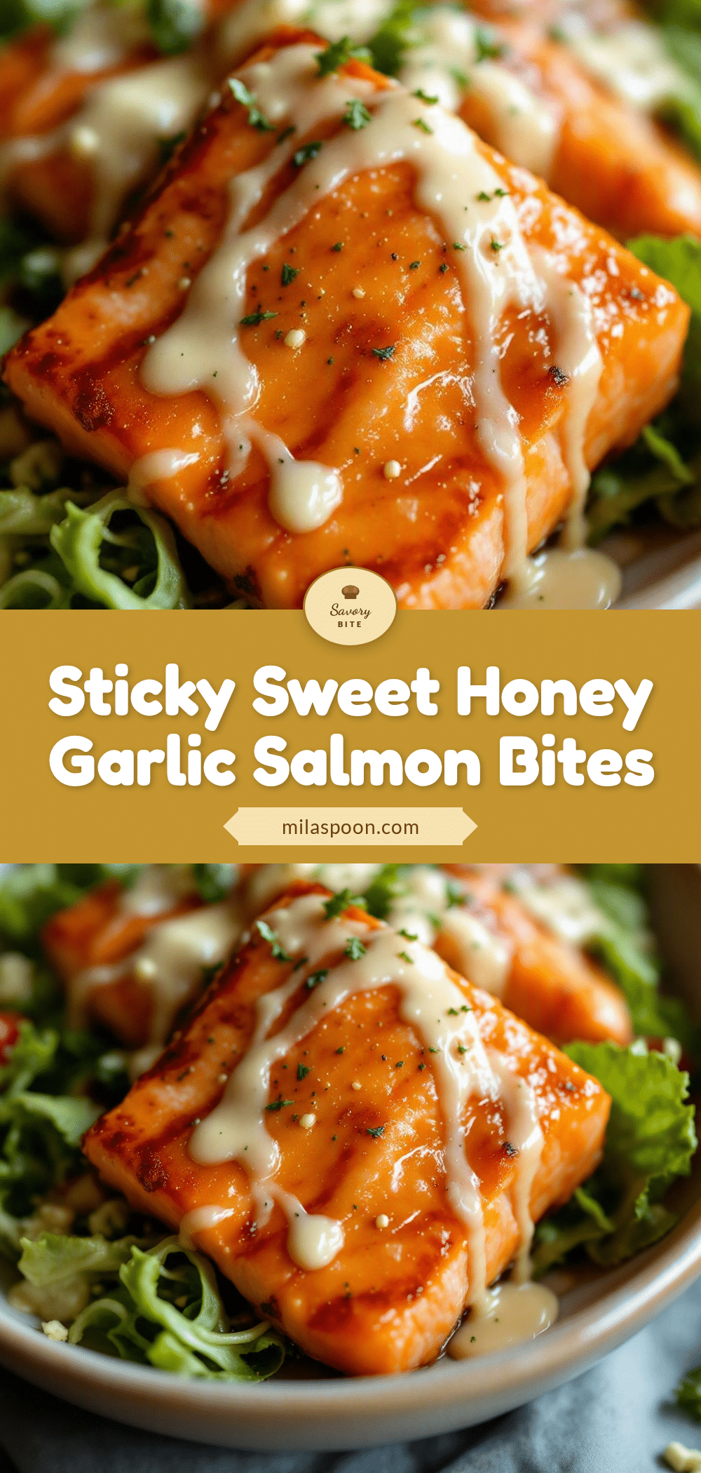 sticky honey garlic salmon bites recipe